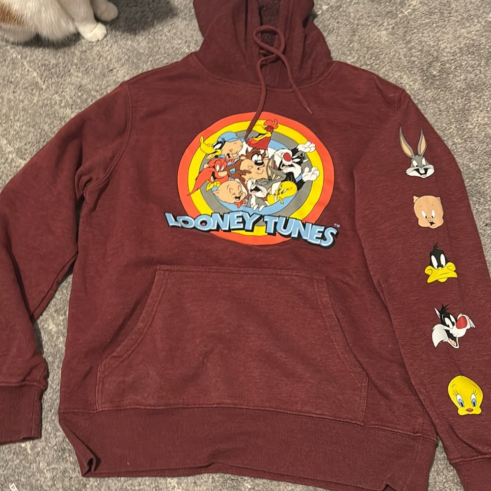 Looney Tunes hoodie with light fleece